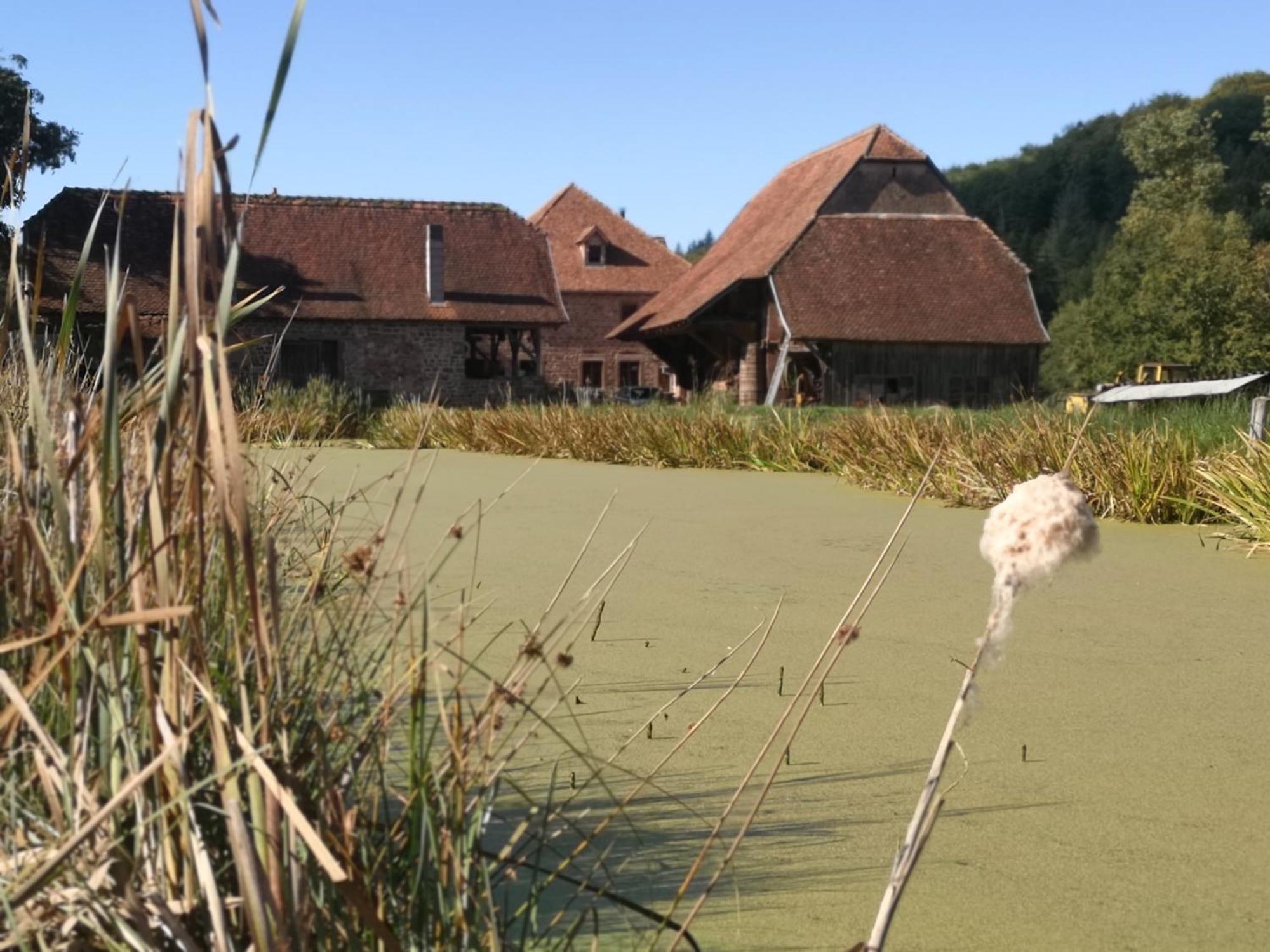 Maison D'Hotes De Charme - Ancien Moulin En Pleine Nature - La Paulusmuehle Hotel Soucht Exterior photo