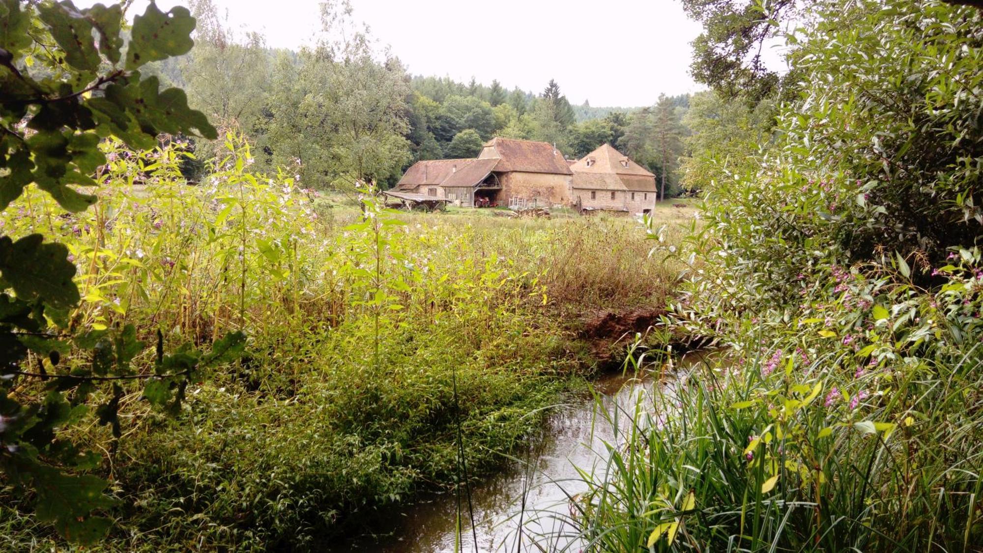 Maison D'Hotes De Charme - Ancien Moulin En Pleine Nature - La Paulusmuehle Hotel Soucht Exterior photo