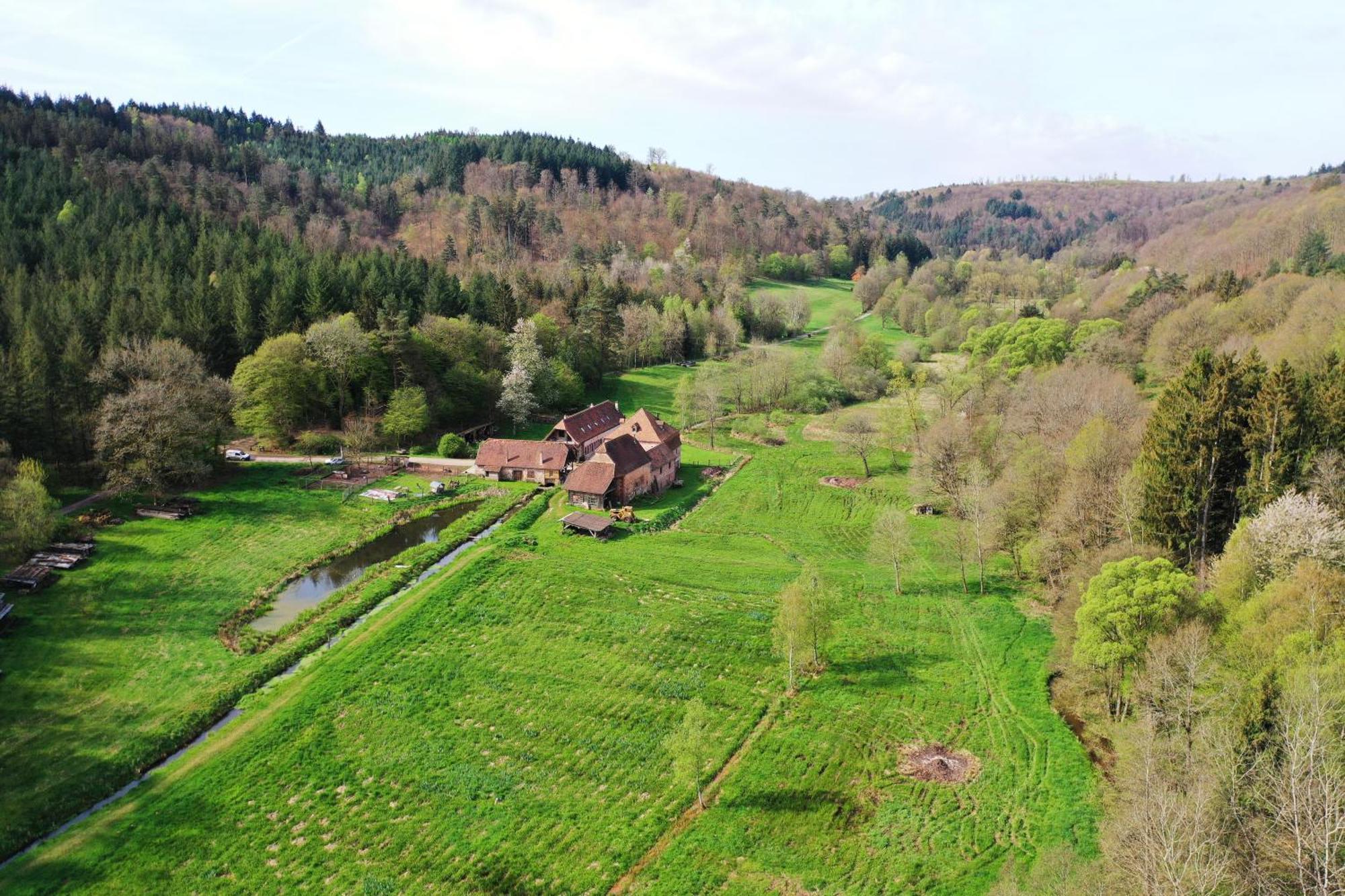 Maison D'Hotes De Charme - Ancien Moulin En Pleine Nature - La Paulusmuehle Soucht Exterior photo