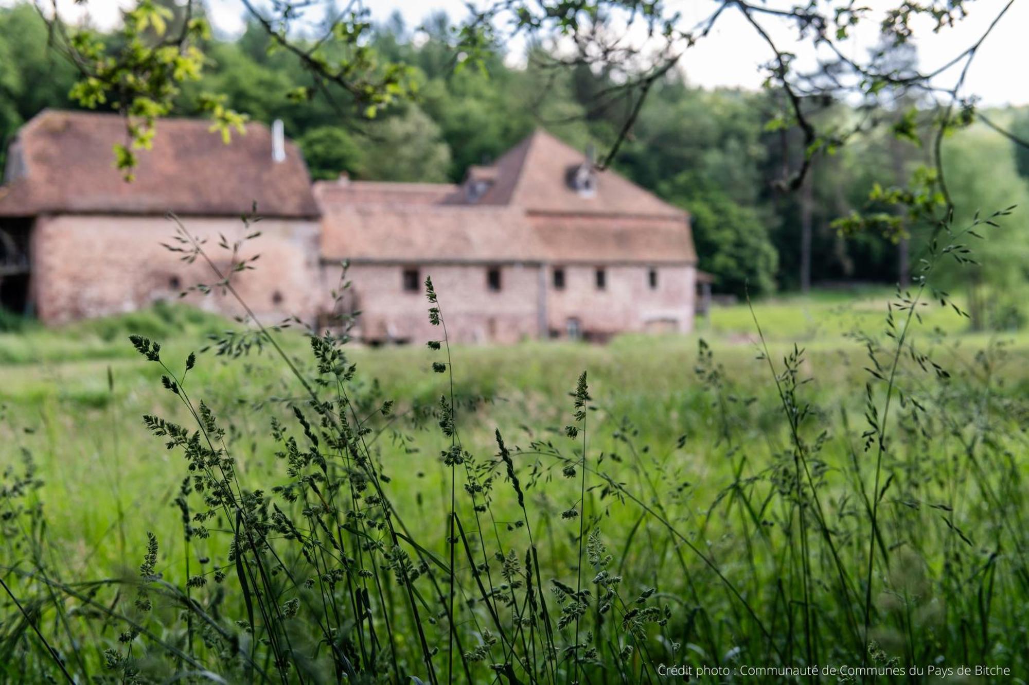 Maison D'Hotes De Charme - Ancien Moulin En Pleine Nature - La Paulusmuehle Soucht Exterior photo