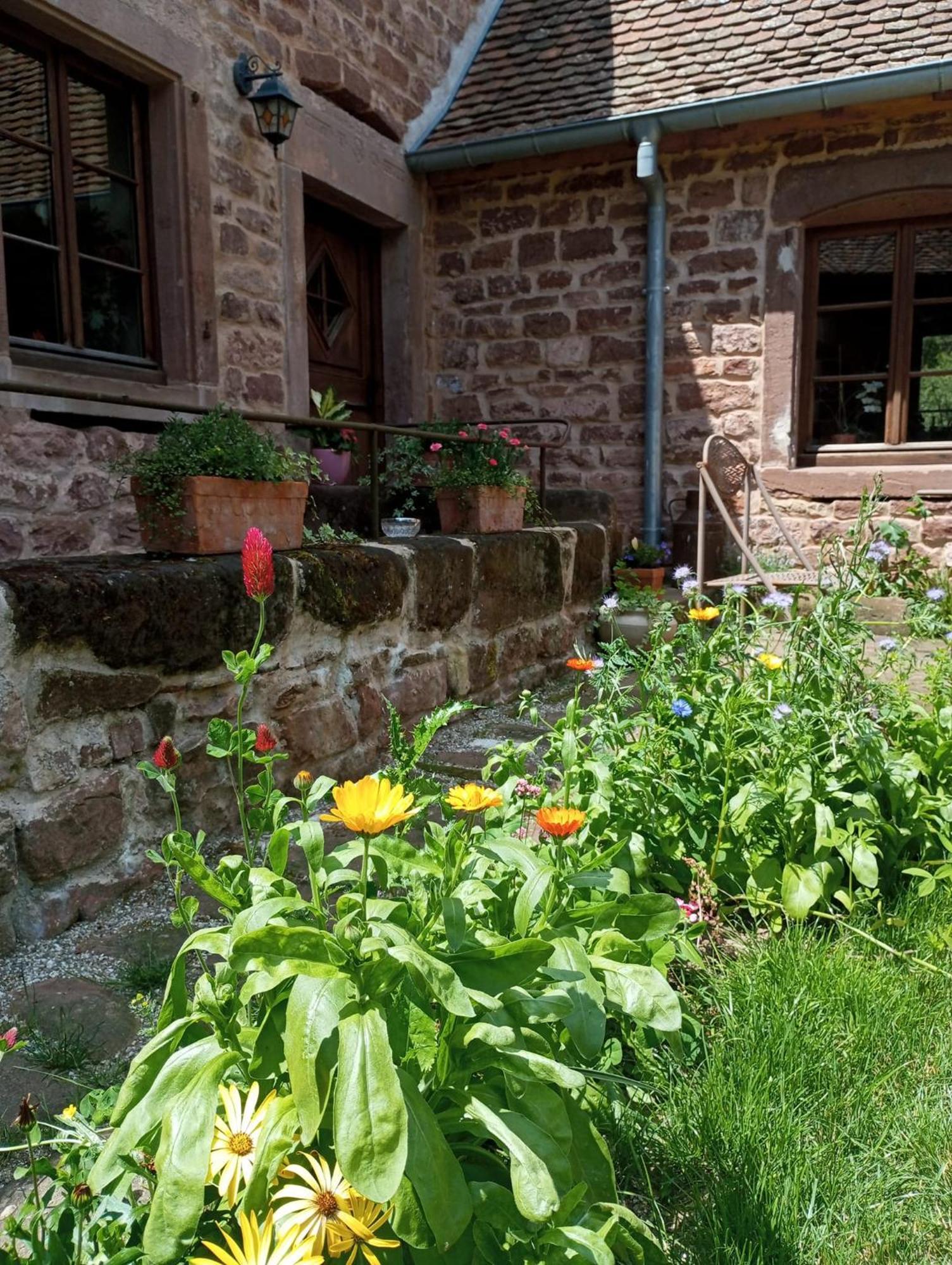Maison D'Hotes De Charme - Ancien Moulin En Pleine Nature - La Paulusmuehle Soucht Exterior photo